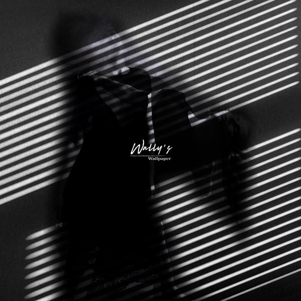 ALINA WINDOW
