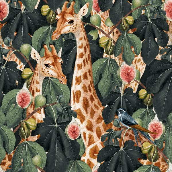 Giraffe Land