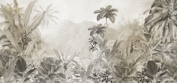 Amazonia