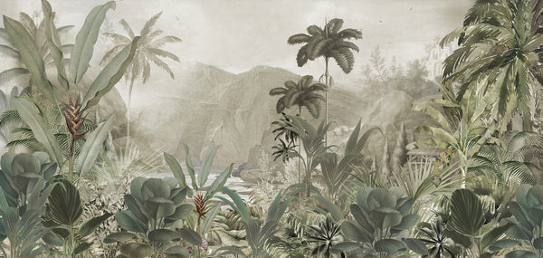Amazonia