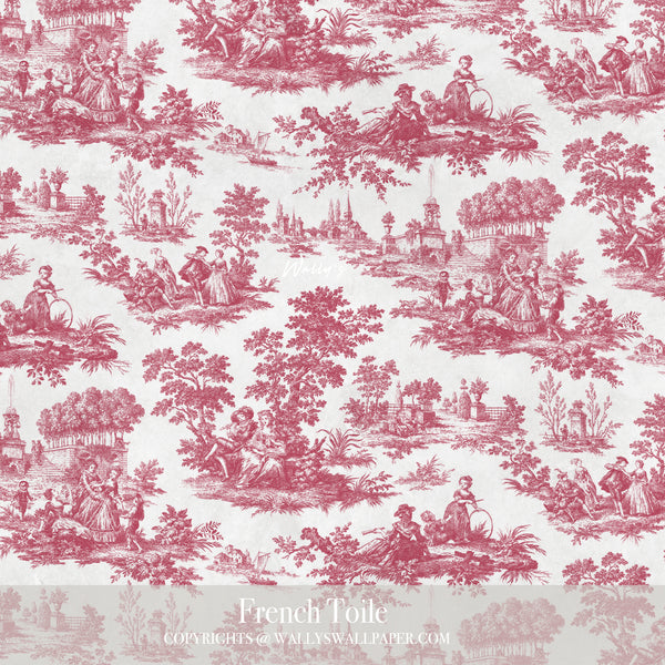 French Toile