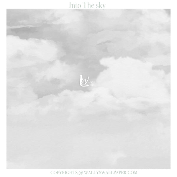 Gray cloud pattern with 'Wally's Wallpaper' logo and copyright text.