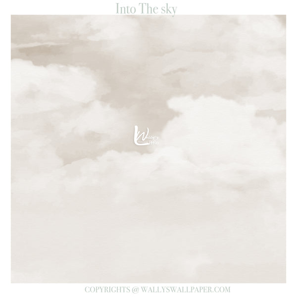 Wallpaper with cloud pattern and 'Wally' brand logo, labeled 'Into The sky'.