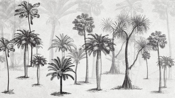 Palms Garden