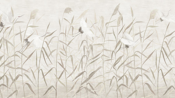 Reeds Swan
