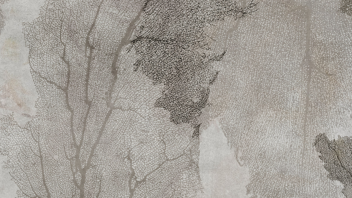 Loft Rough – Wally's Wallpaper